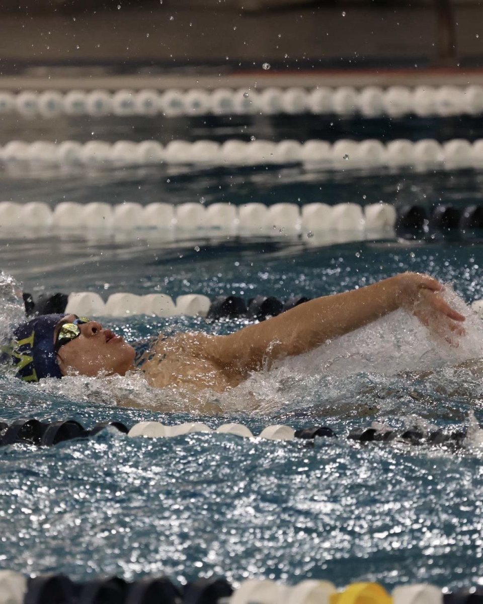 Brandon He Swimming Backstroke