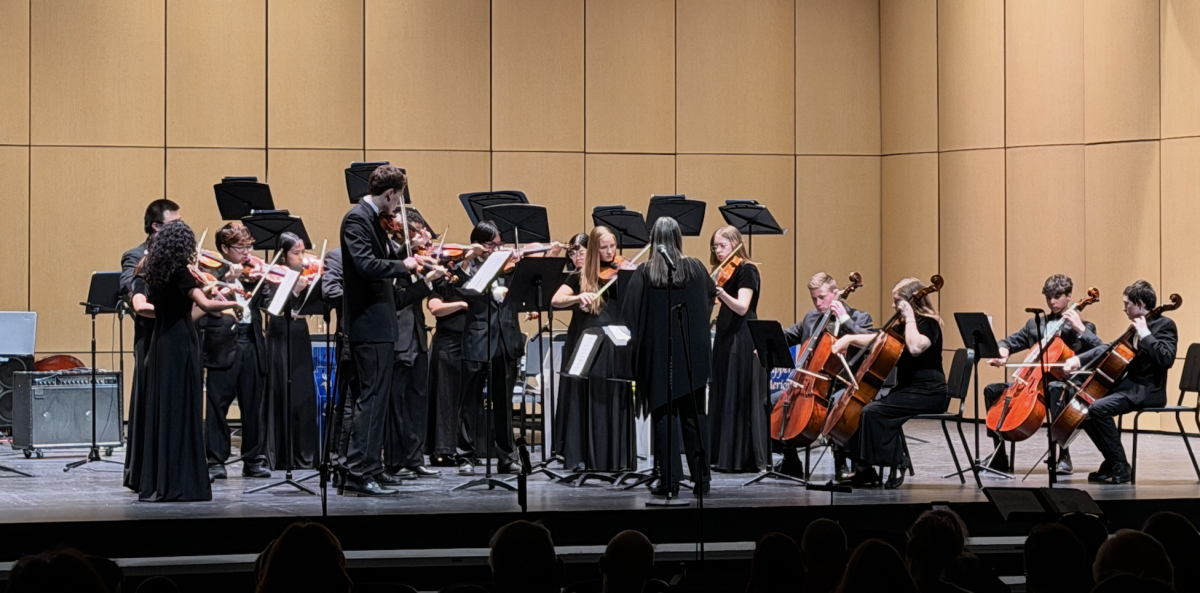 Chamber Strings Photo by Micah Depakakibo